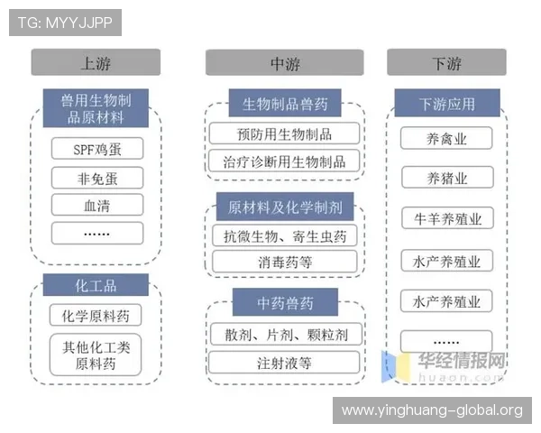 澳门赌场牌照对外开放政策分析及未来发展趋势预测